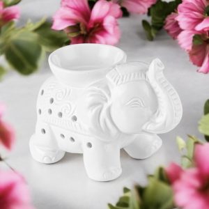 éléphant blanc