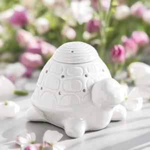 Brûle Parfum Tortue
