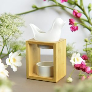 brûle parfum colombe